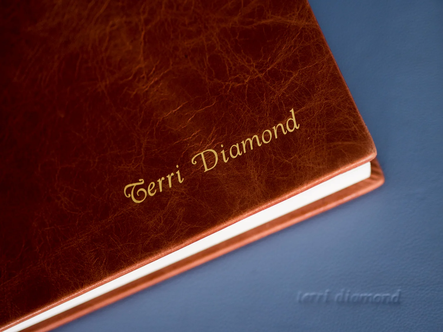 wedding-albums-newyorkcity-terri-diamond-photography-11.jpg