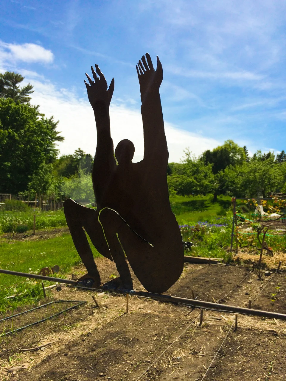In Progress Viewing of a Sculpture Garden @ Design Group Collaborative