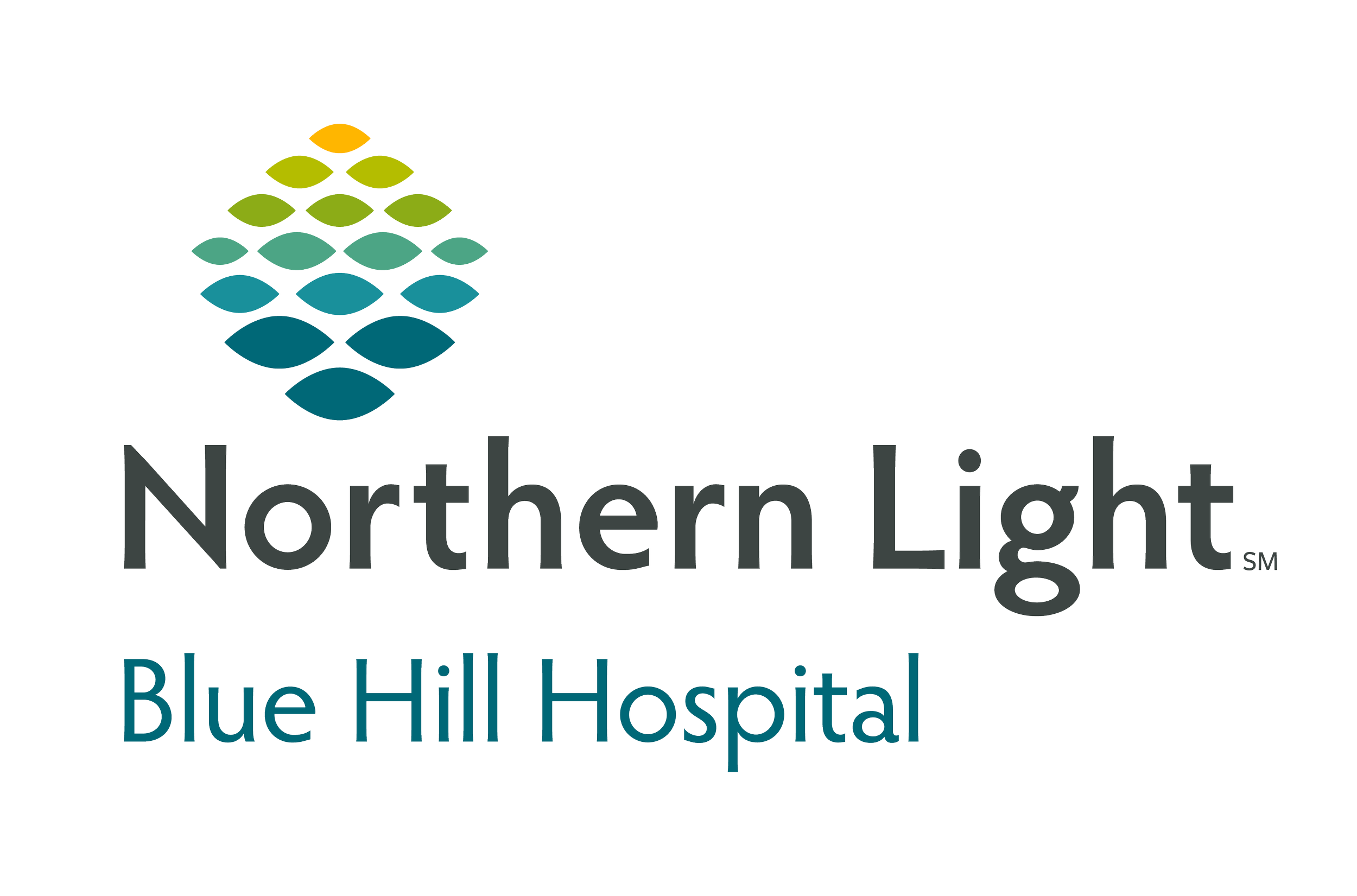 Northern_Light_Blue_Hill-logo.png