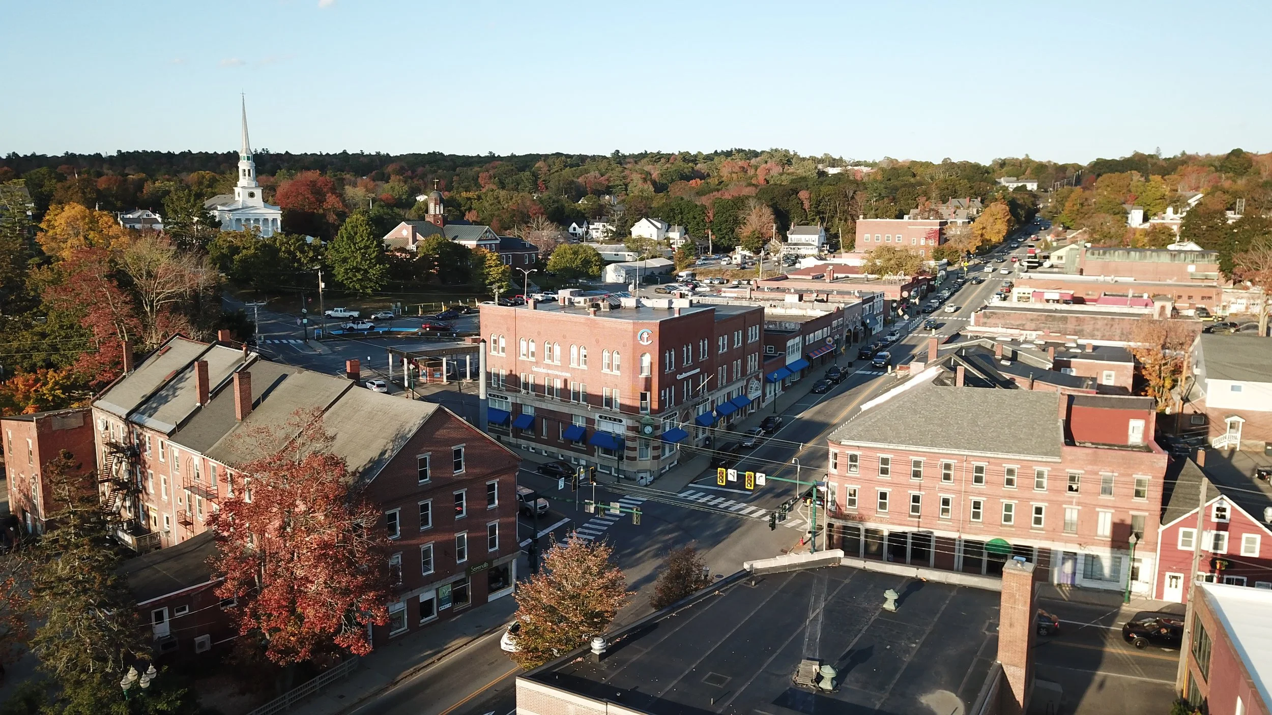 March Business Pulse