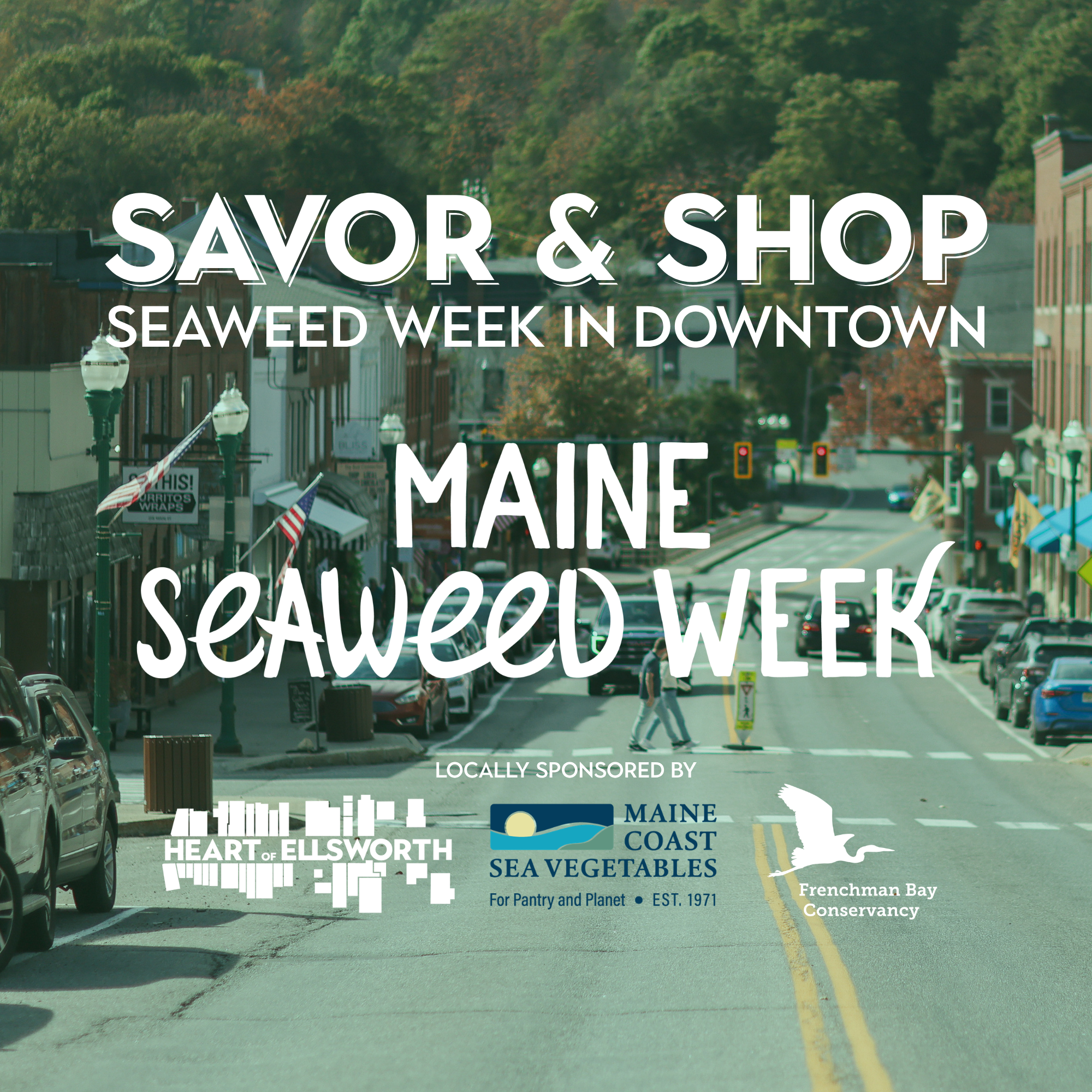 Spend maine seaweed week downtown