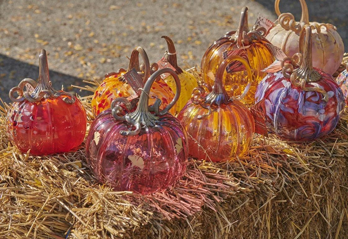 Glass_Pumpkin_Patch_10-13-2022_JW_108_sm-1120x770-c-default.jpg
