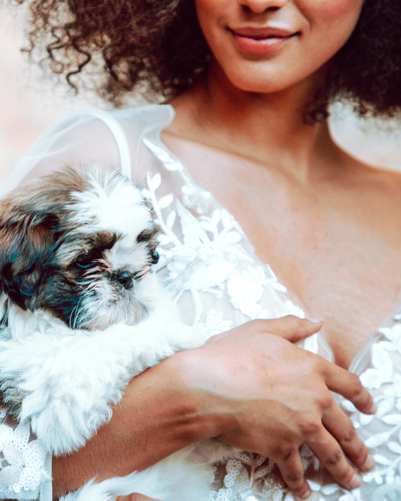 Bride holding puppy