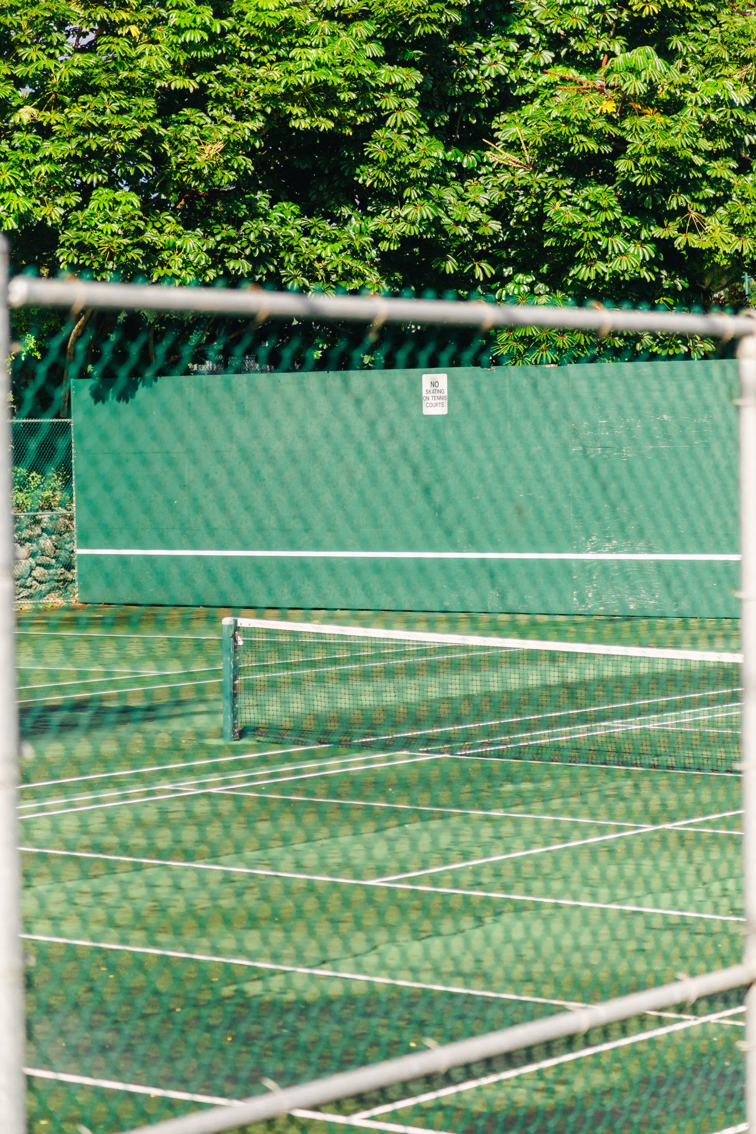 annie-denten-hawaii-tennis-court.jpeg