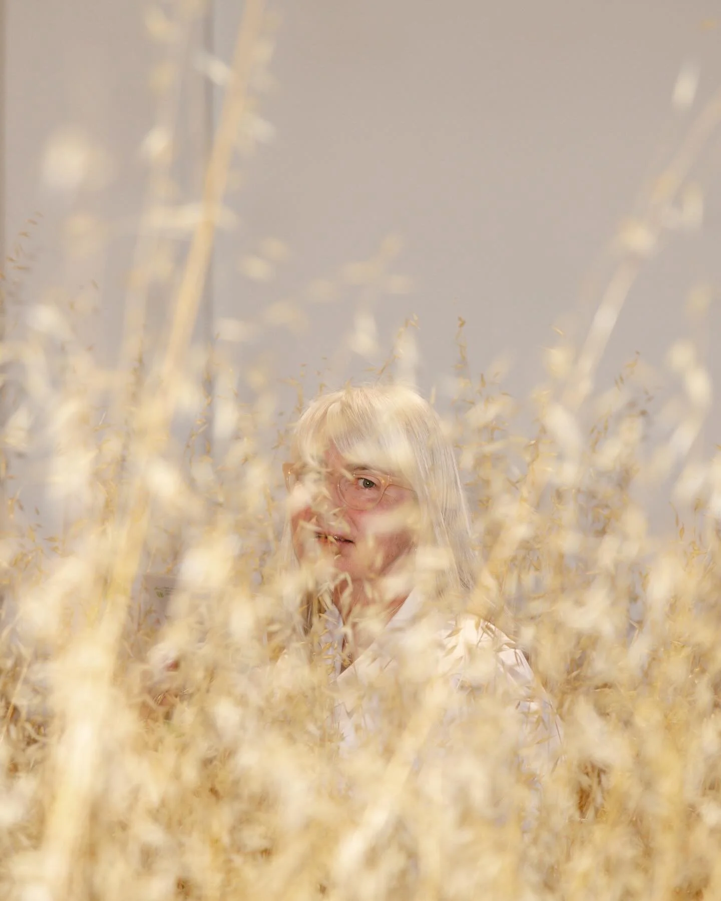 Work for the @athenaeumartcenter @athenaeummusicandarts featuring the stunning work of @helenawestra 

The amount of work and prep that went into this show was truly impressive, shout out @griz.topher and the amazing team who installed this body of w