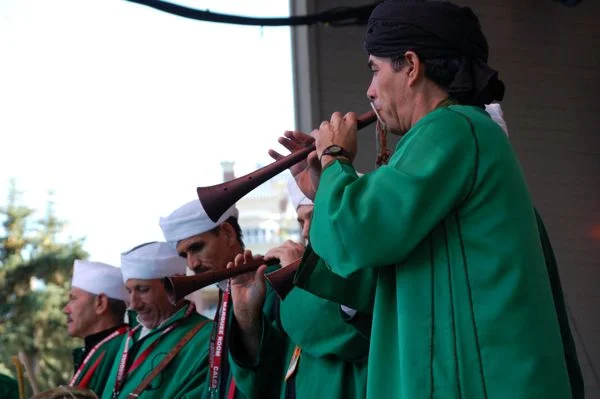 154.jpg