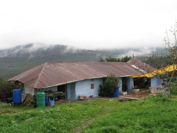 The Jajouka Guesthouse of Bachir Attar