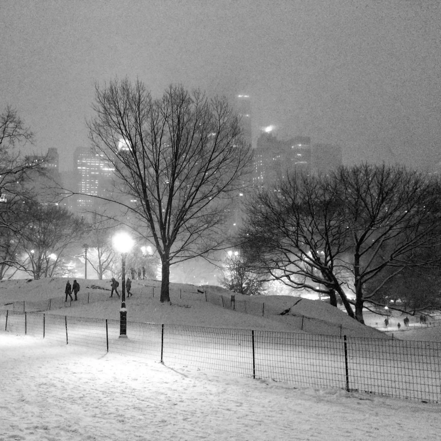 Central Park was coated in snow and it was the end of our farewell tour. It was February 16 in 2016. That night we were flying to Manila en route to a small coastal village in Palawan, the Philippines. Here we would eat banana pancakes and drink coco