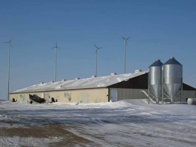 Clements-MN-2-800x600.jpg