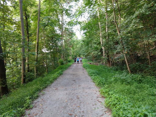 Group walk along the Sheepskin Trail near Point Marion