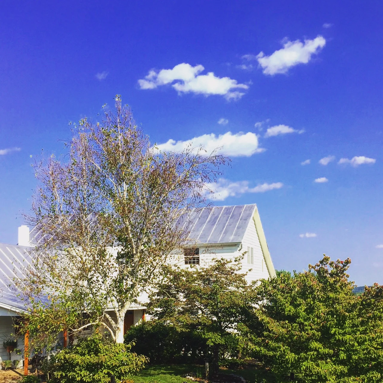 THOSE MAGICAL MOMENTS