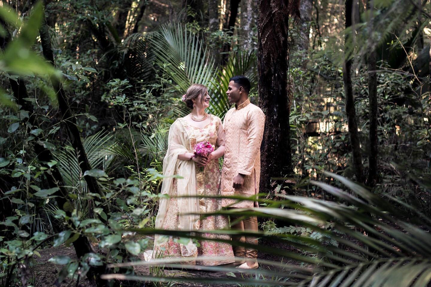 Beautiful New Zealand Bush ❤️ sometimes you&rsquo;ve just got to go looking in the bush for the perfect backdrop.
.
.
.
.
.
@aucklandweddings #newzealandbush #beautifulbride #weddingsari #indianwedding #aucklandweddingphotographer #southaucklandweddi