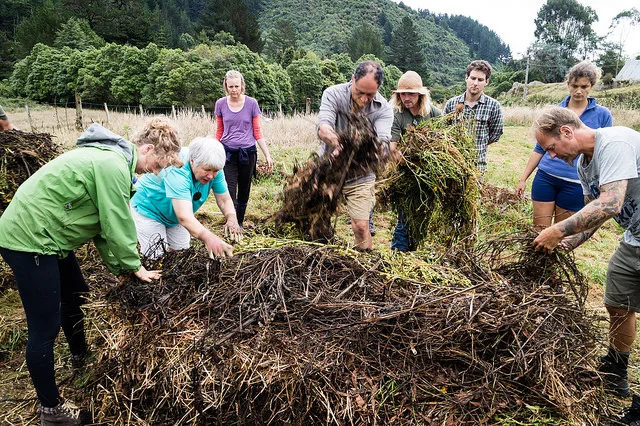 this one at the Waiohanga Retreat Centre (permaculture course 2018)........,