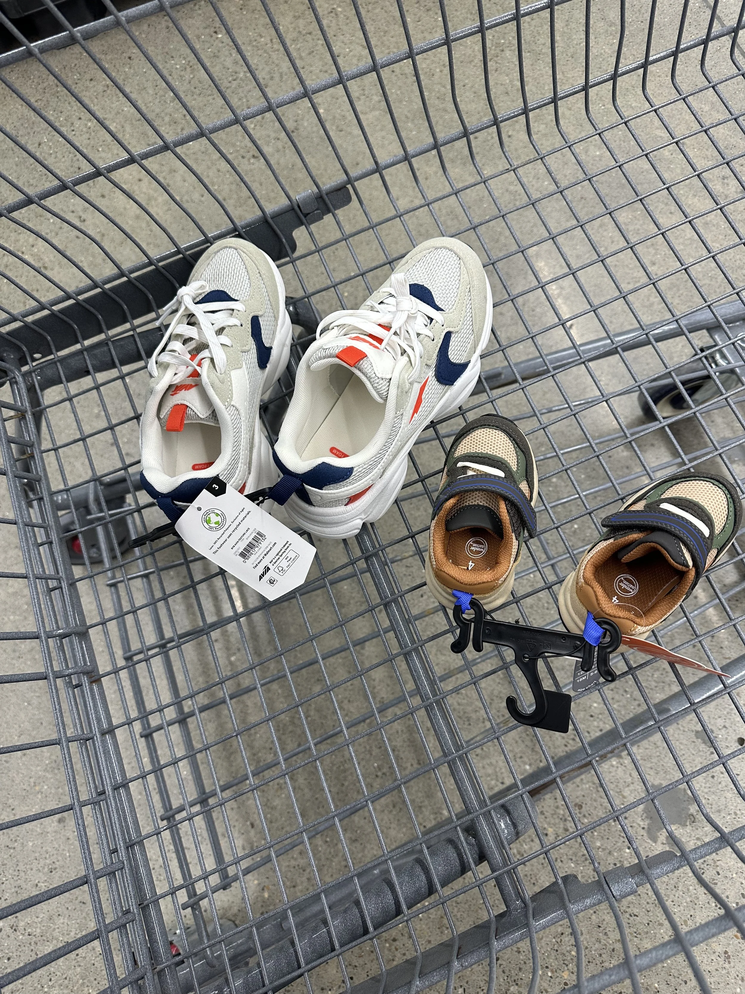 Savored Melodies: January 12th, 2026