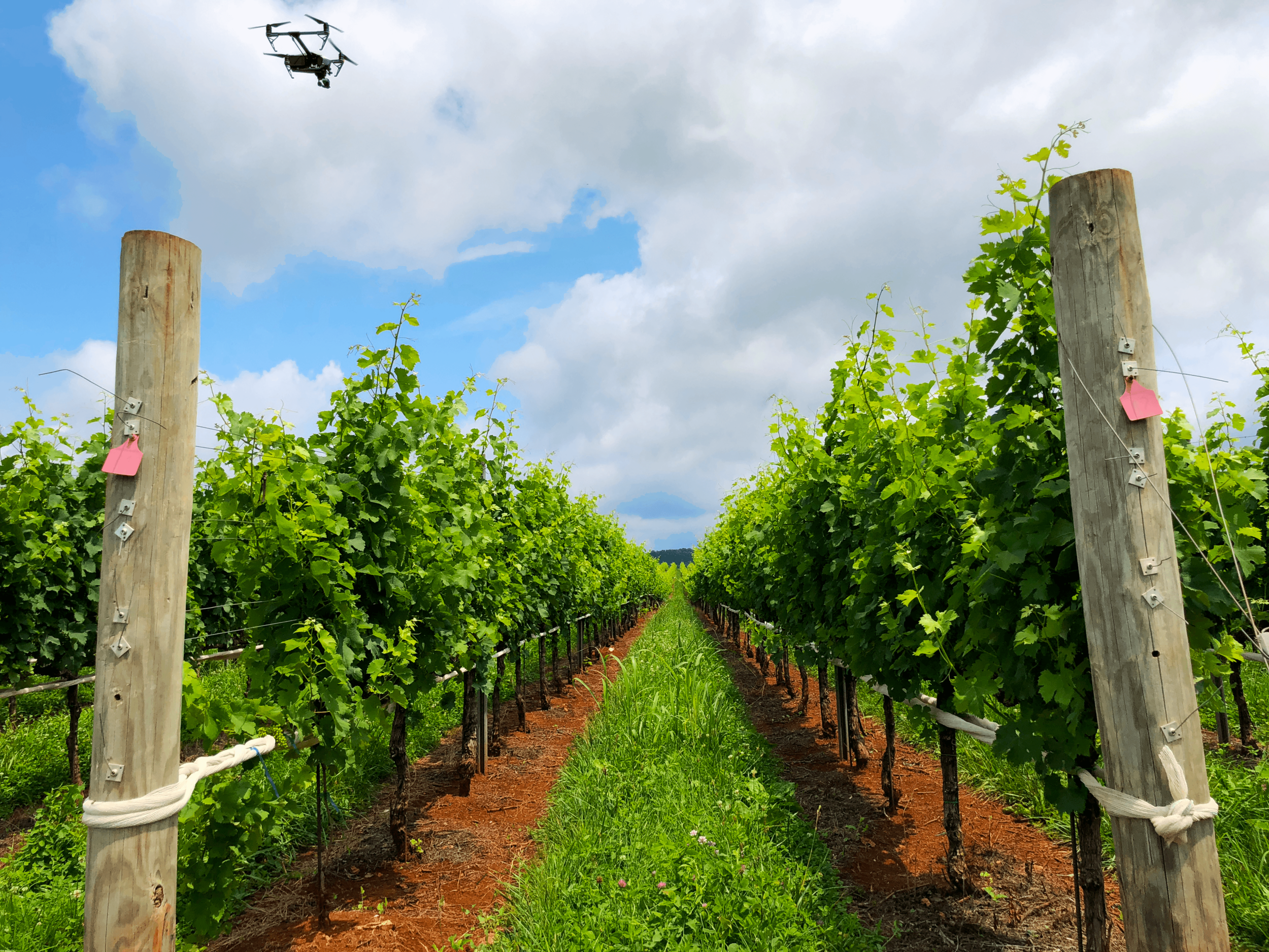 Trump Winery_The Drone Co. - RVA_no logo.png