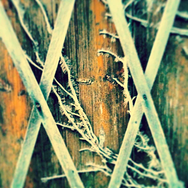 Nature hates the shed