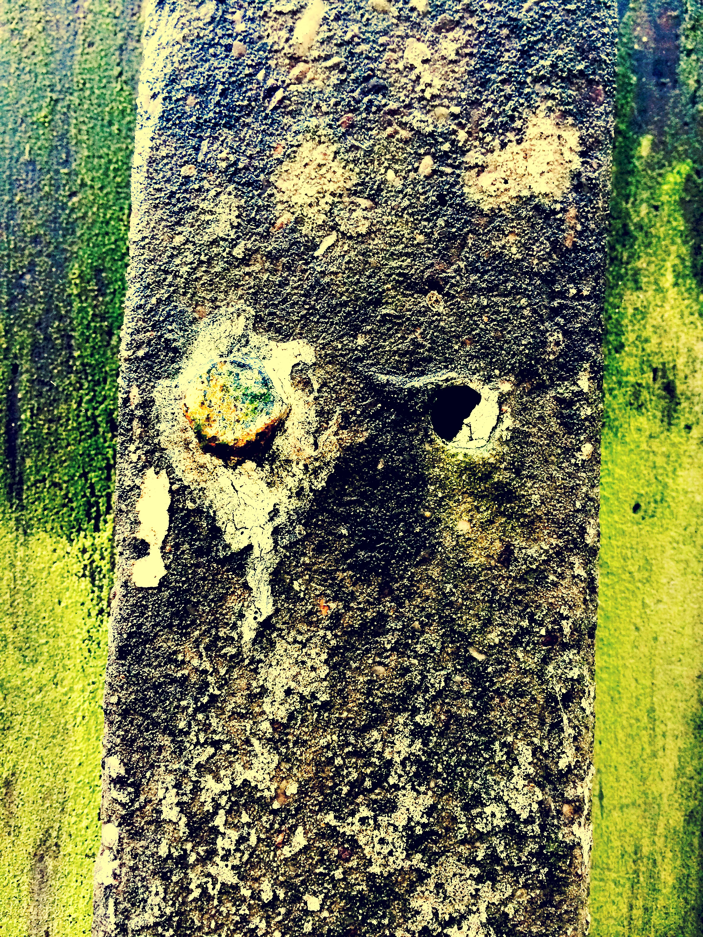 Weathered Garden