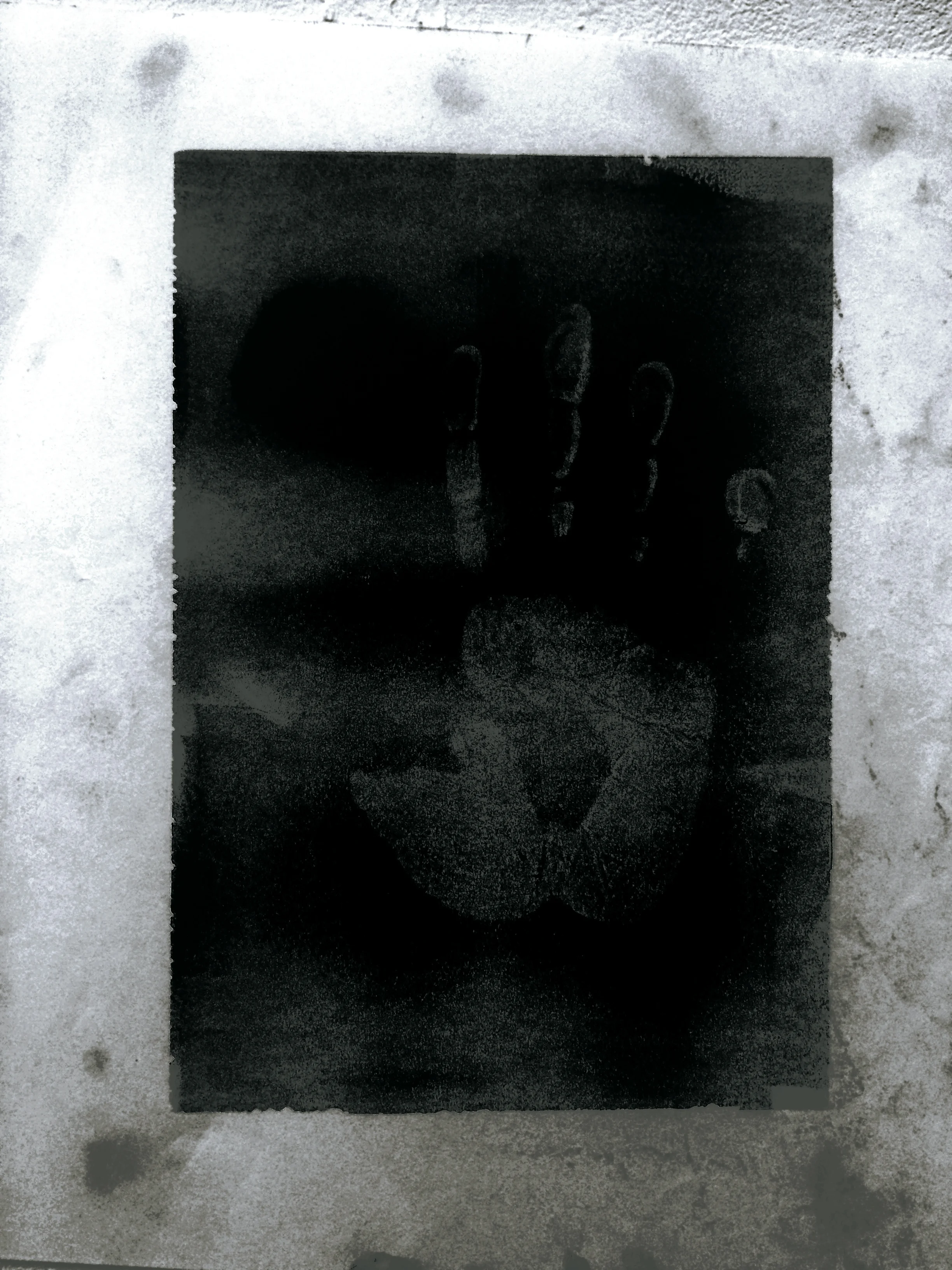 14914974724_d60823489c_o1.jpg