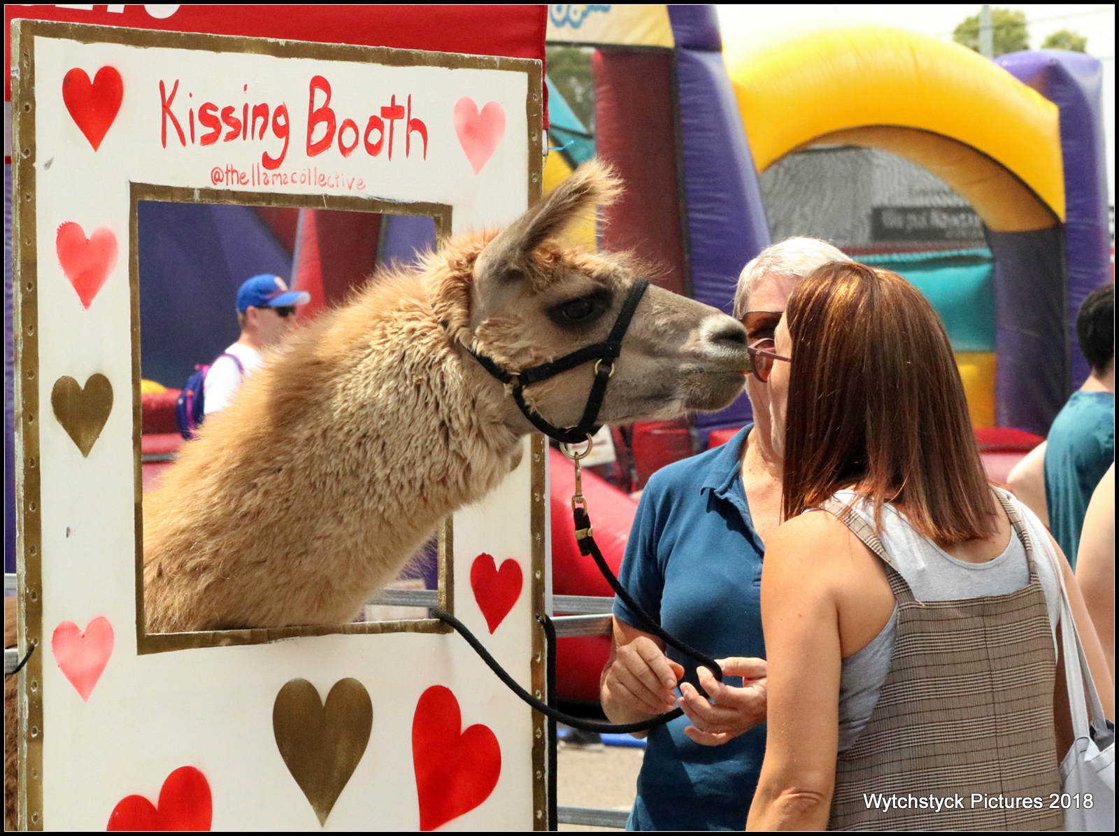 Llama Kissing Booth