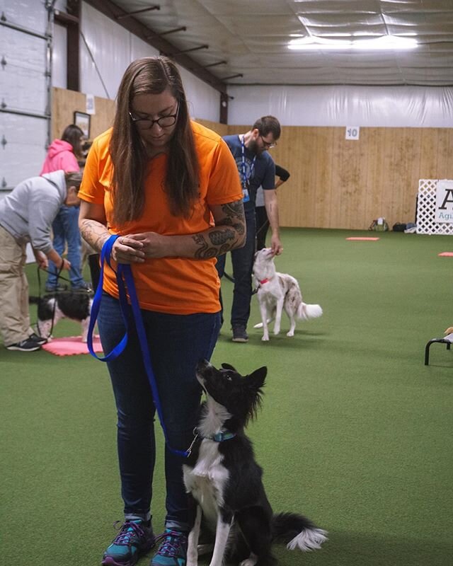 Here is the March obedience class schedule. All classes are taught in 4-week sessions. Basic classes are $85 for the session.  All other classes are $74 for the session.  Monday class dates are March 2, 9, 16, 23. Wednesday class dates are March 4, 1