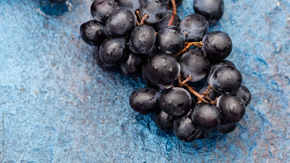 Beaujolais Nouveau 2019