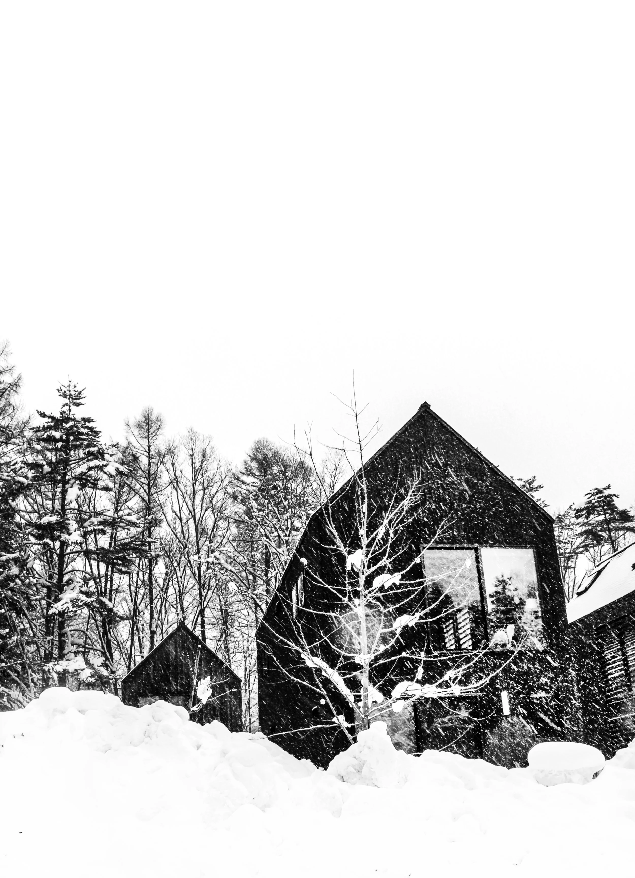 WinterLodge3_MONO.jpg