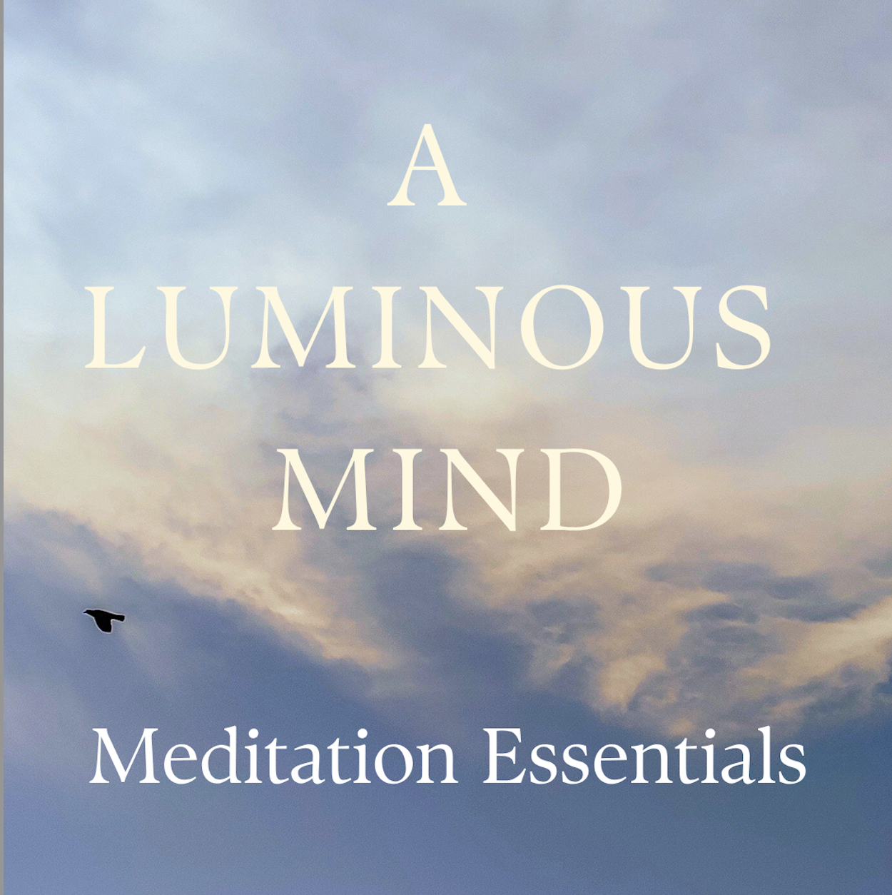 A Luminous Mind: Meditation Essentials (8 weeks, in-person &amp; online)