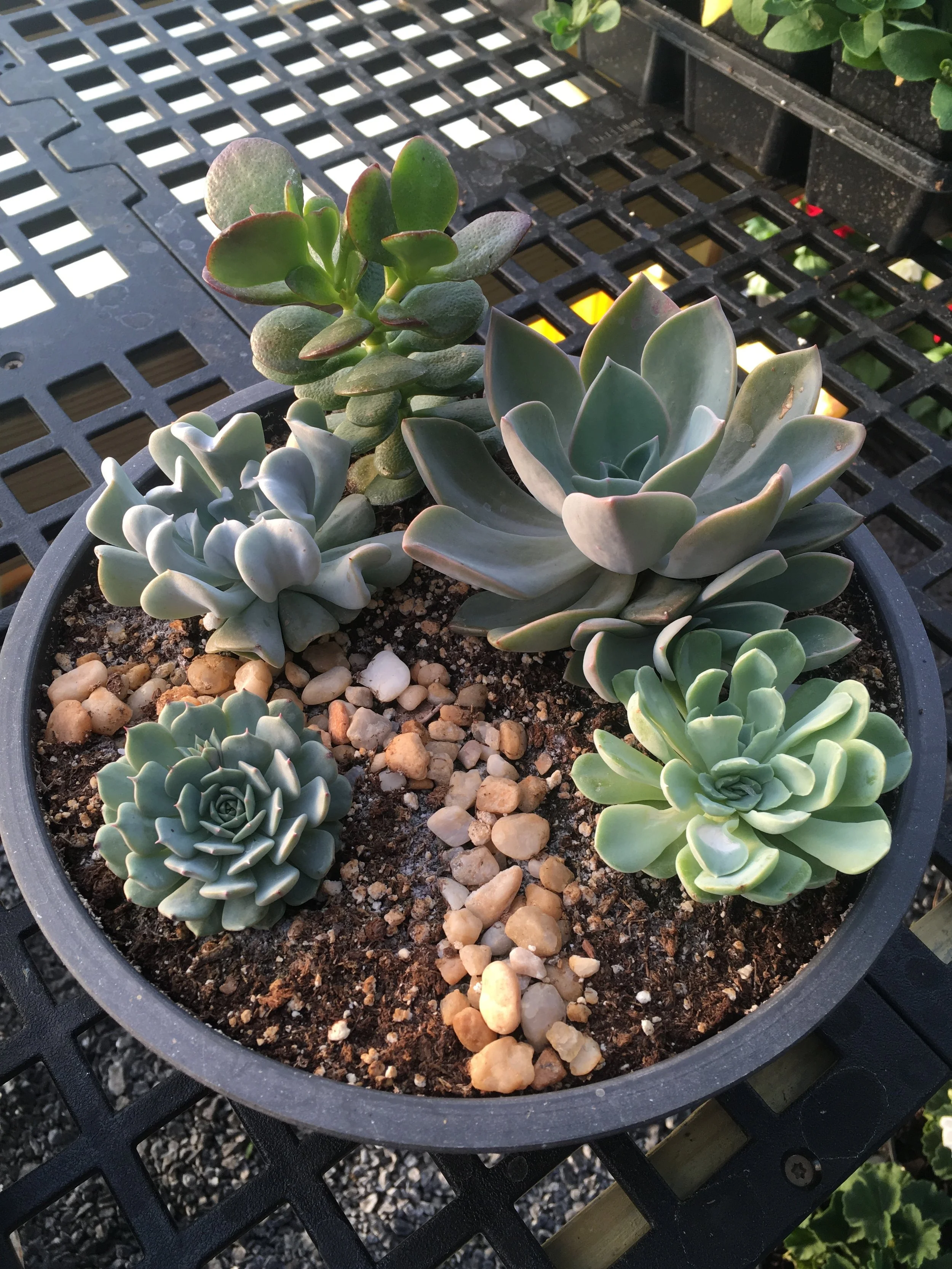 Around the Farm — Overlook Produce & Farm Adventures