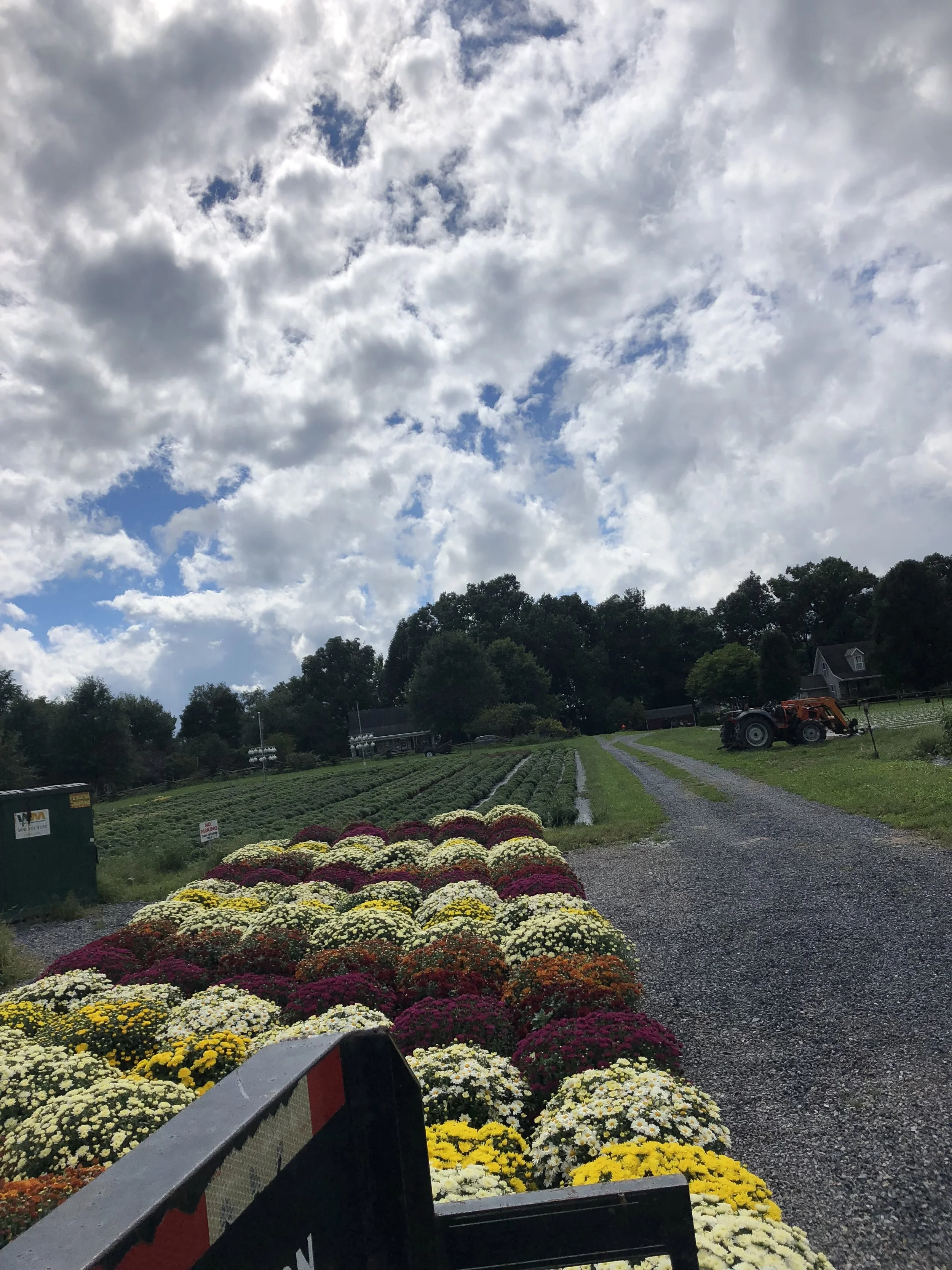 Take a peek inside.. — Overlook Produce, Bakery & Deli