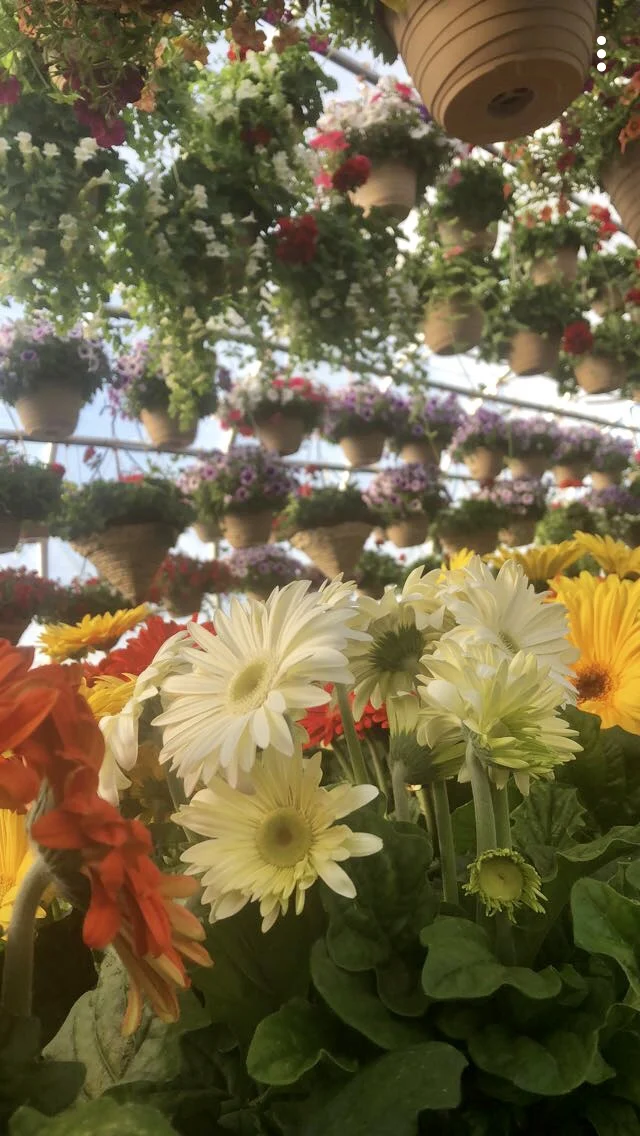 Take a peek inside.. — Overlook Produce, Bakery & Deli