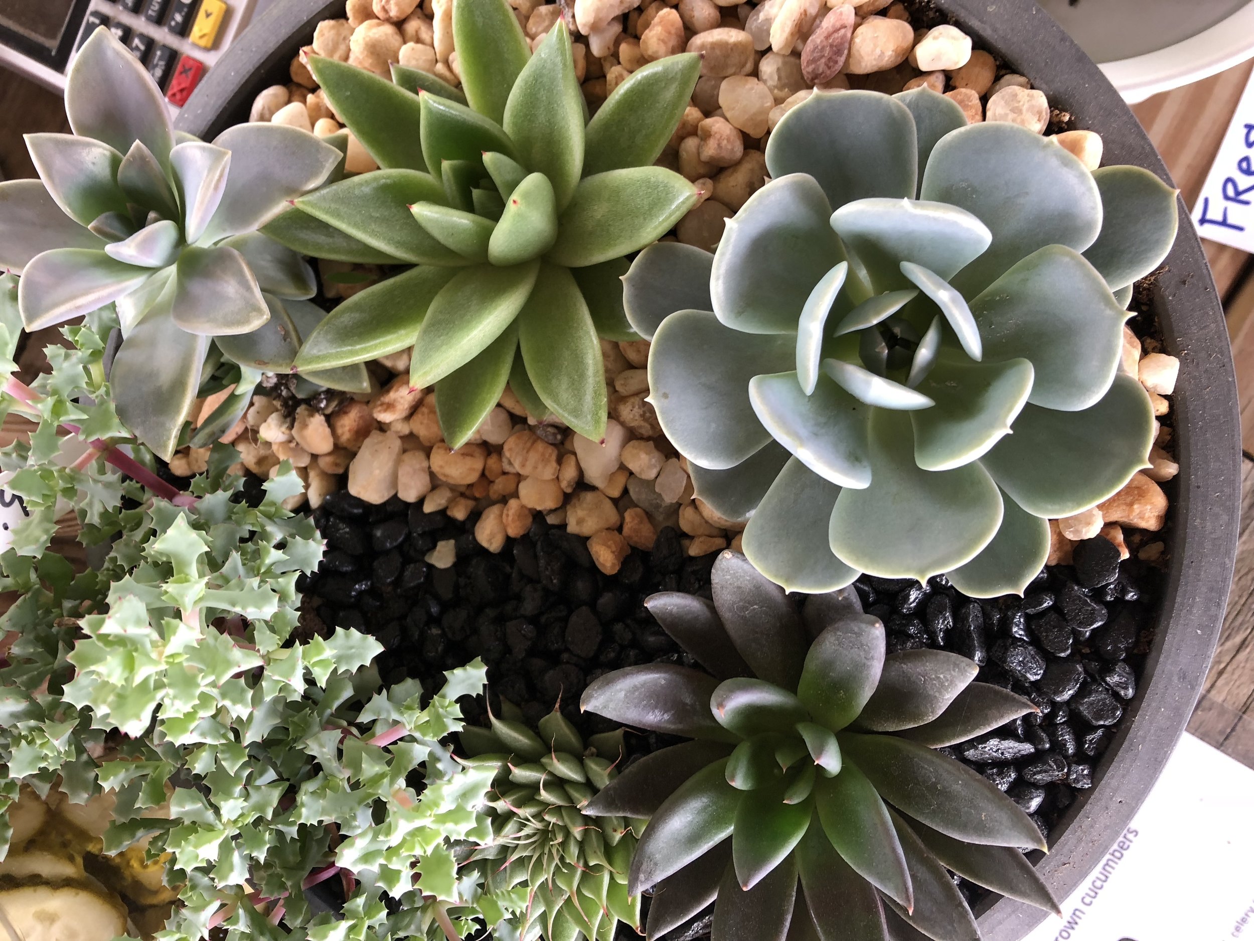 Around the Farm — Overlook Produce & Farm Adventures