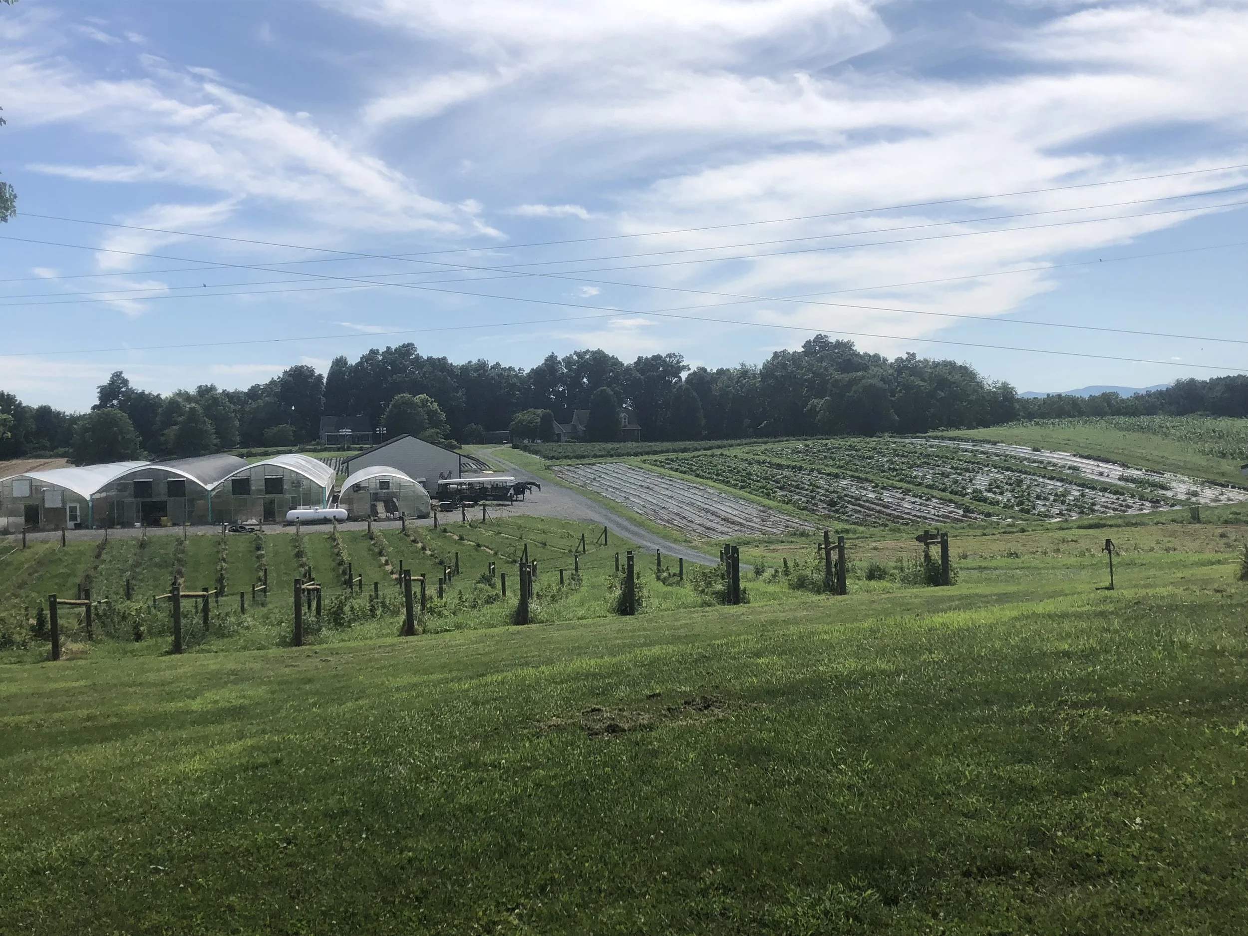 Take a peek inside.. — Overlook Produce, Bakery & Deli