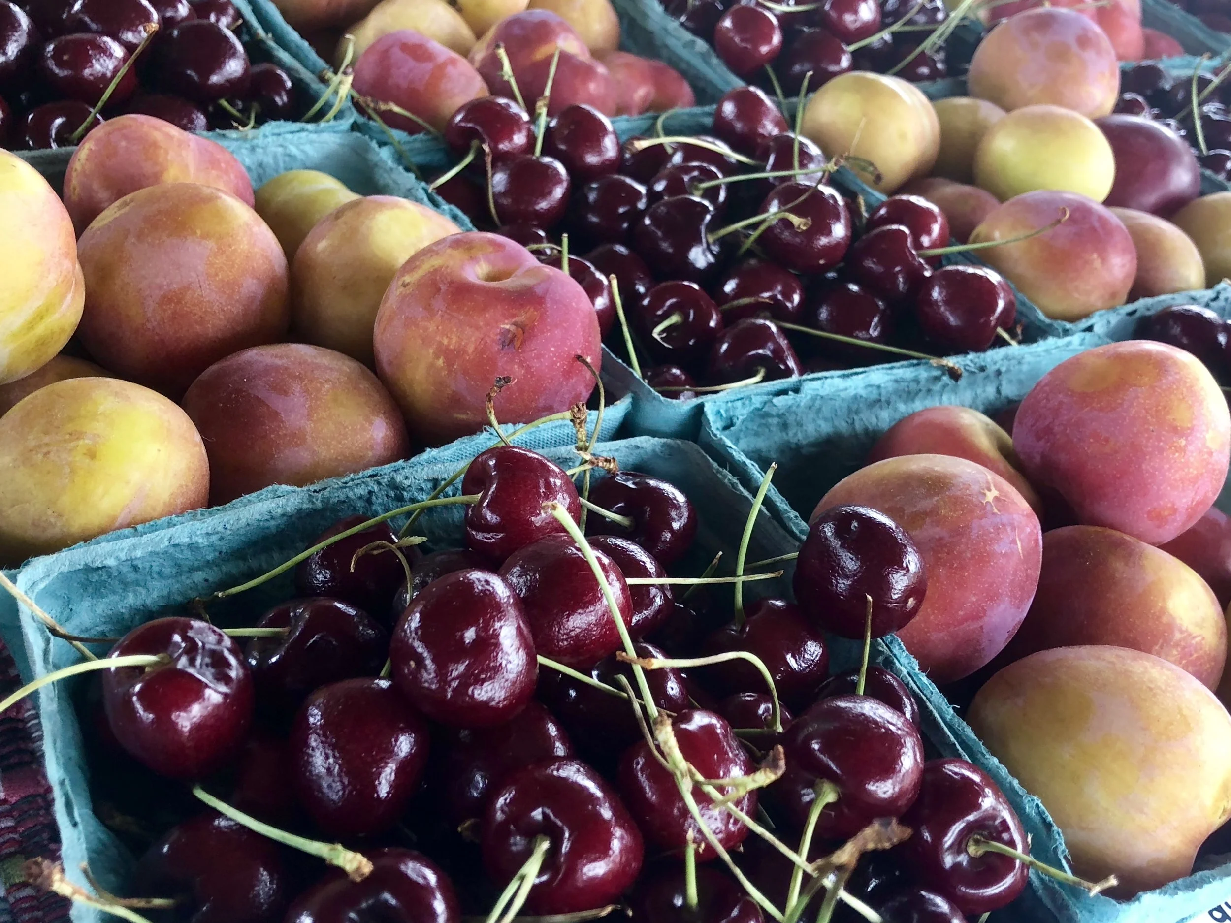 Around the Farm — Overlook Produce & Farm Adventures