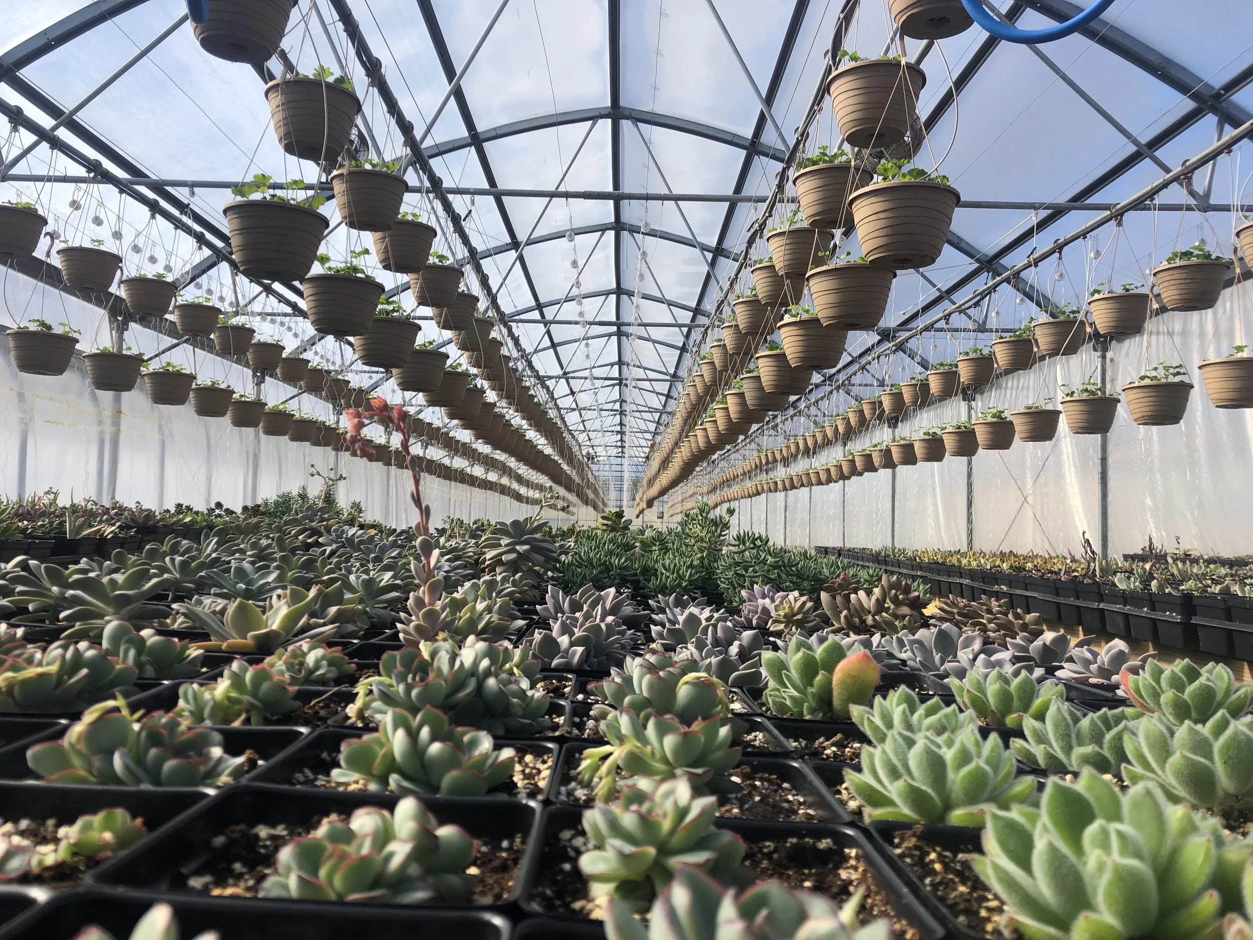 Take a peek inside.. — Overlook Produce, Bakery & Deli