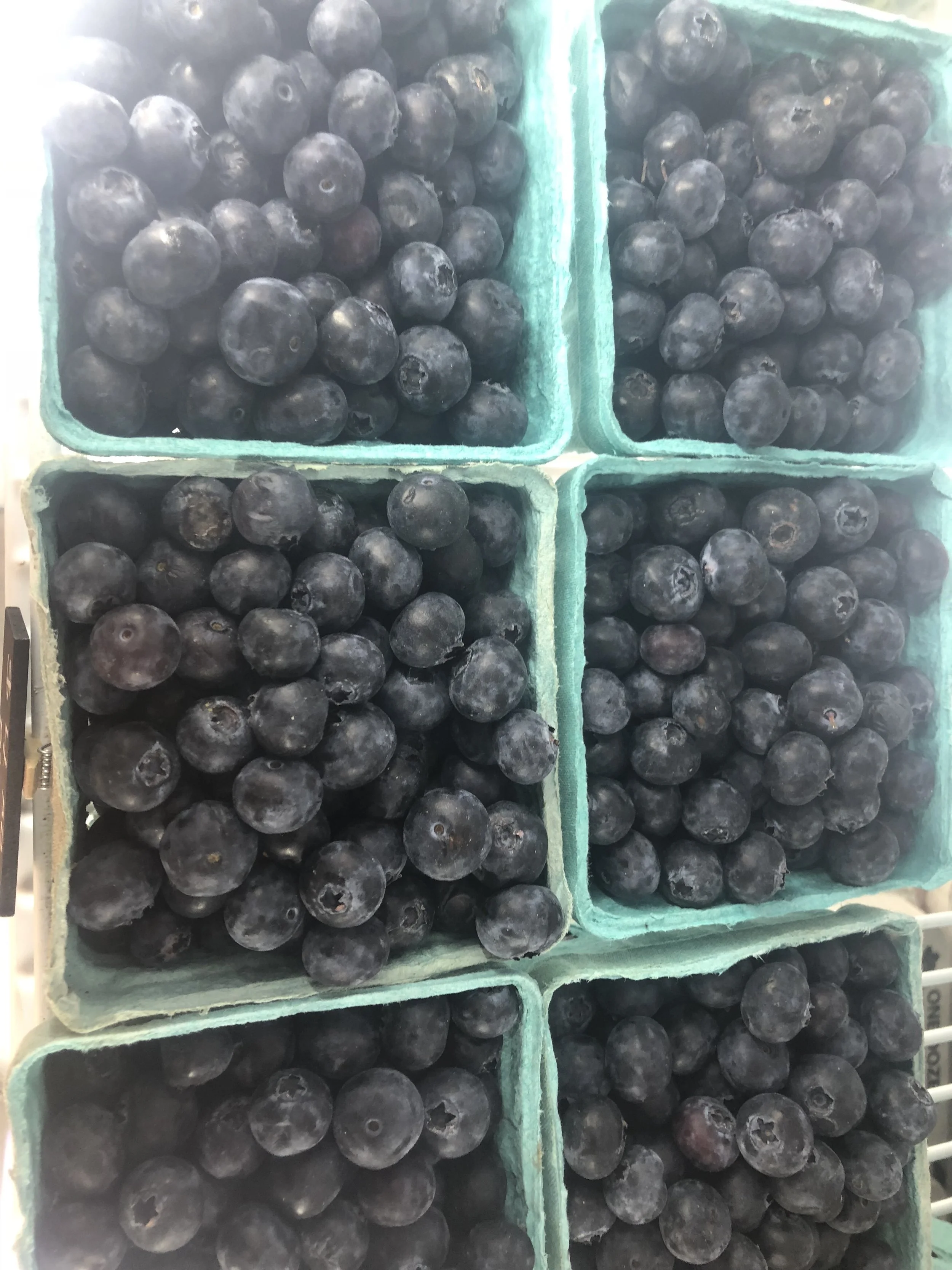 Around the Farm — Overlook Produce & Farm Adventures