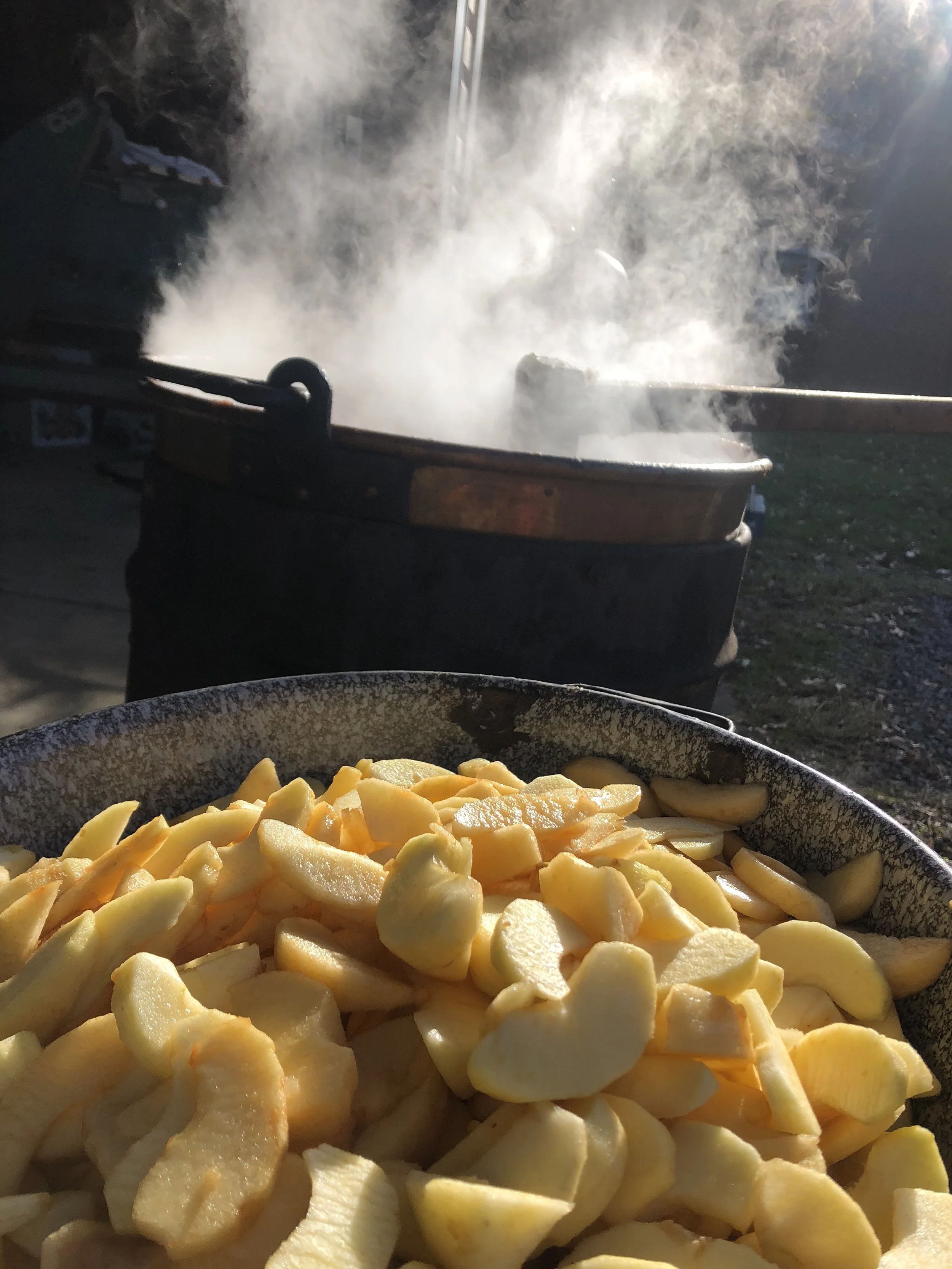 Around the Farm — Overlook Produce & Farm Adventures