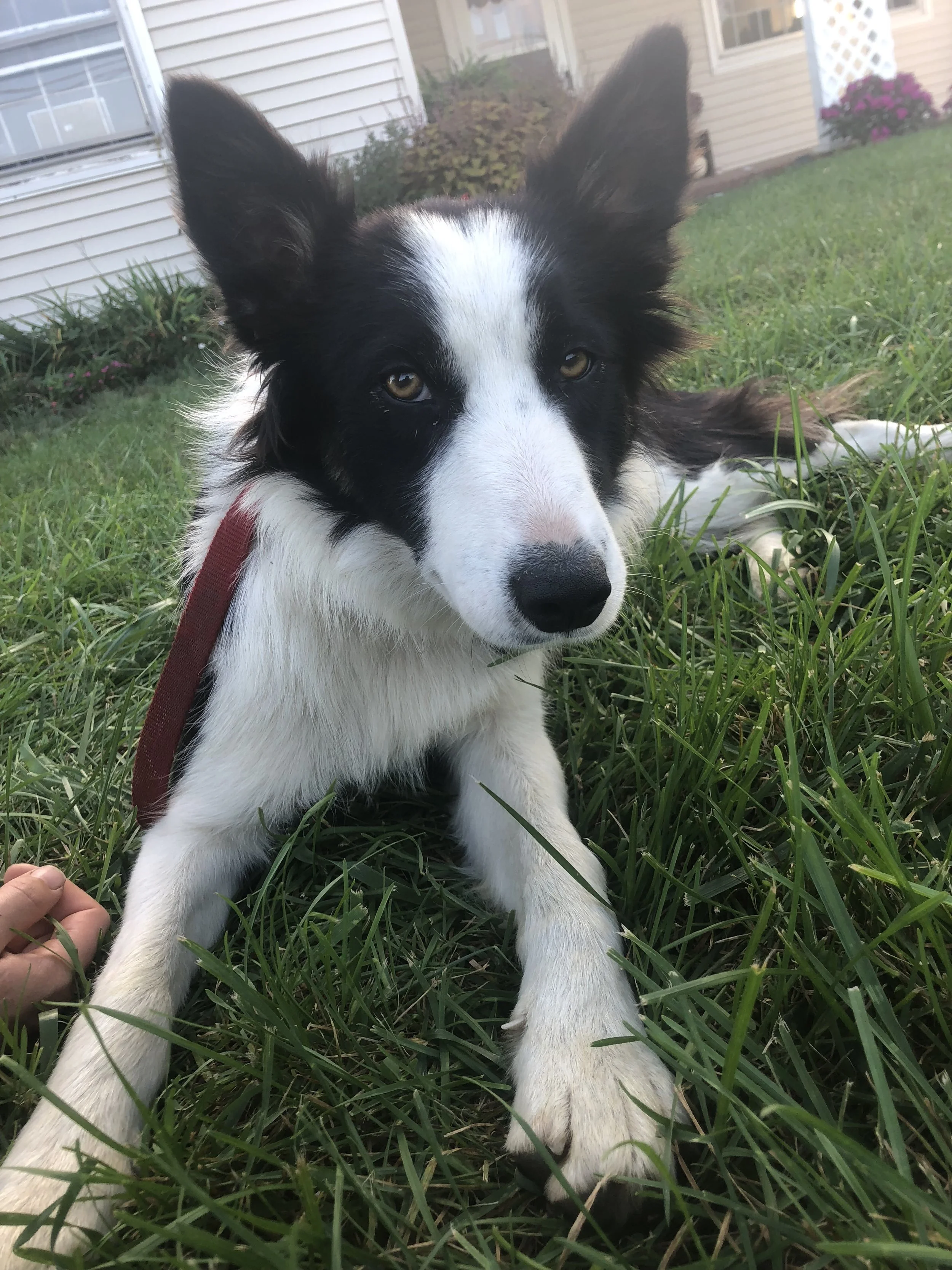 Around the Farm — Overlook Produce & Farm Adventures