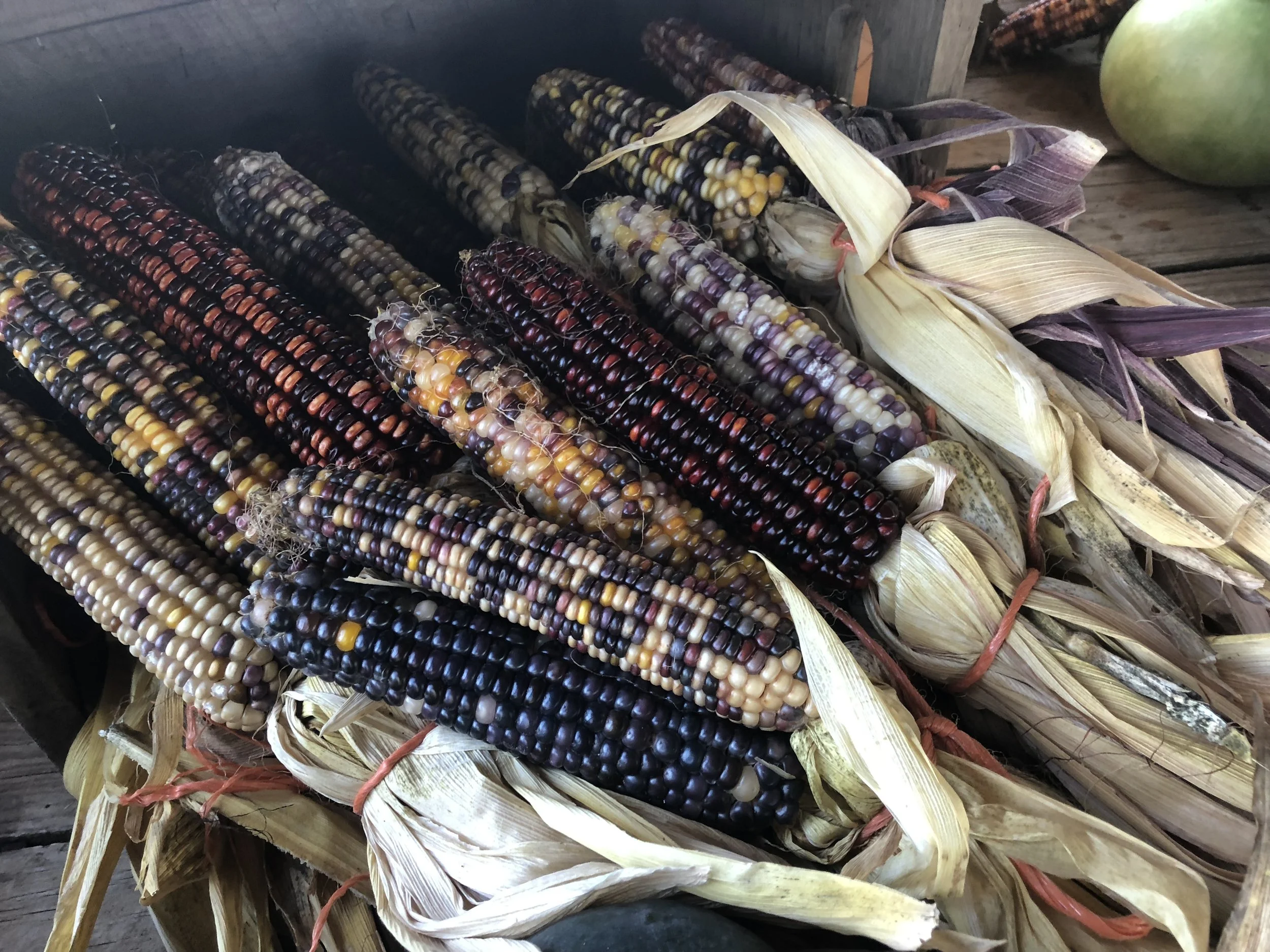 Around the Farm — Overlook Produce & Farm Adventures