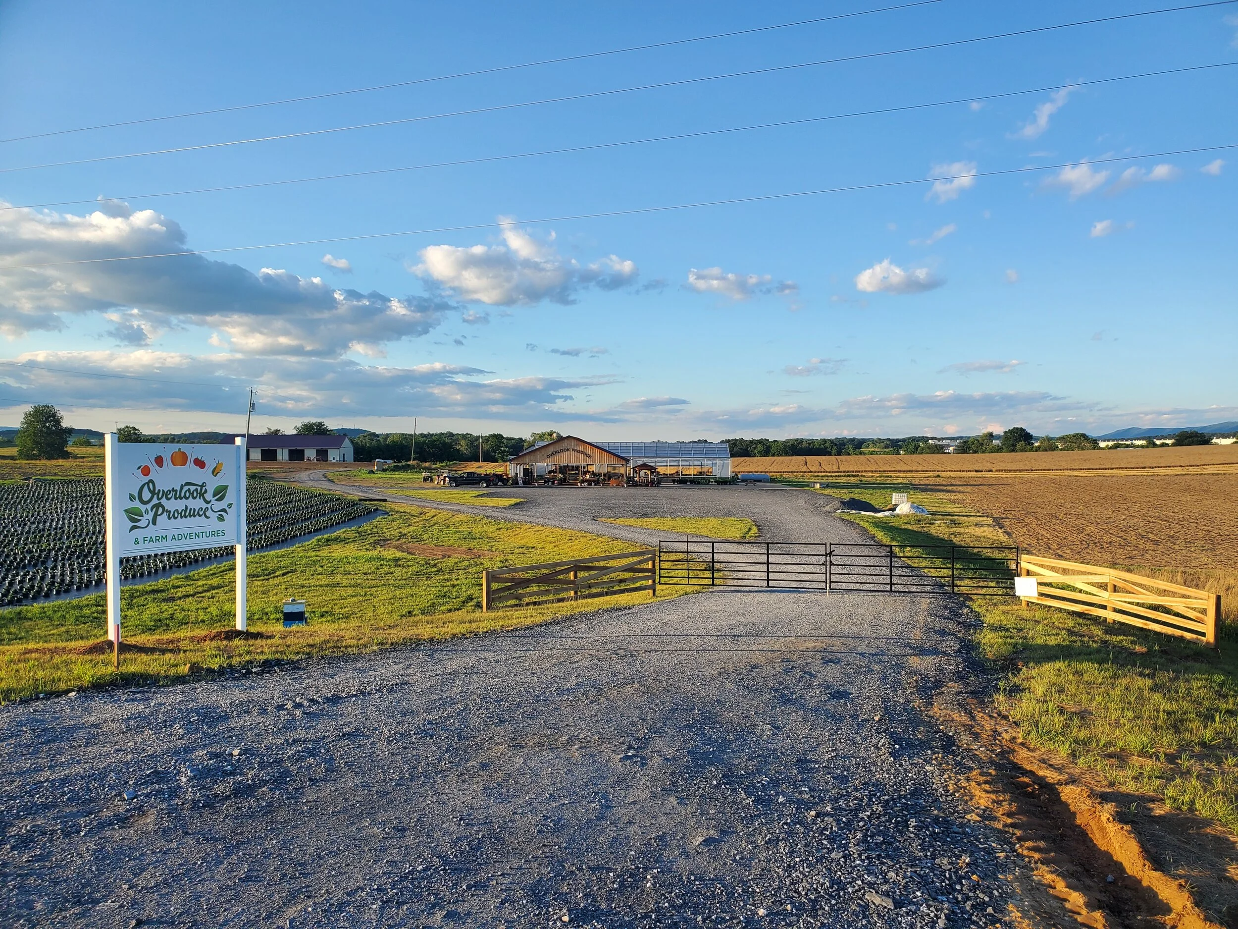 Overlook Produce, Bakery & Deli