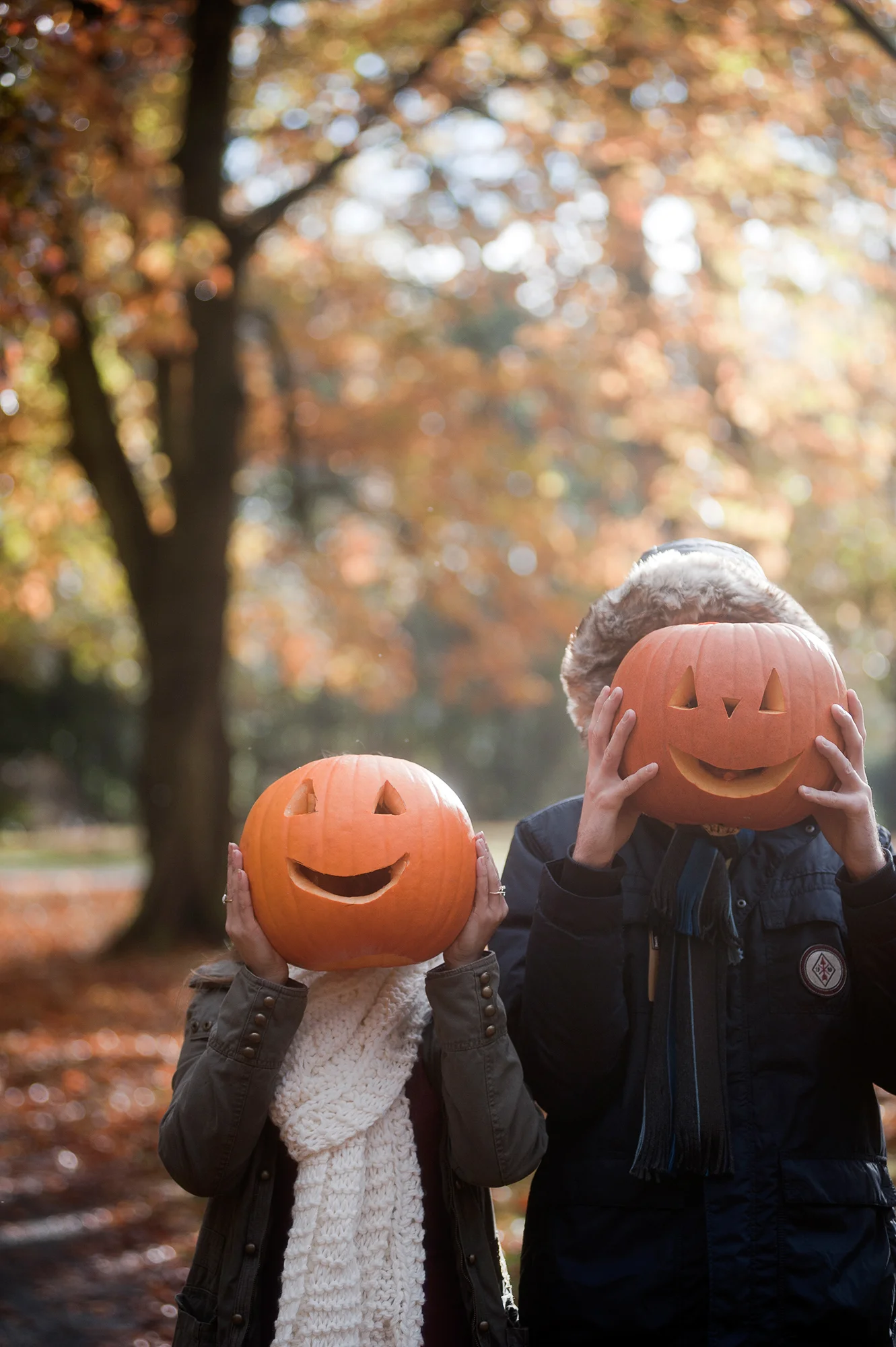 Halloween for Tourism Ireland