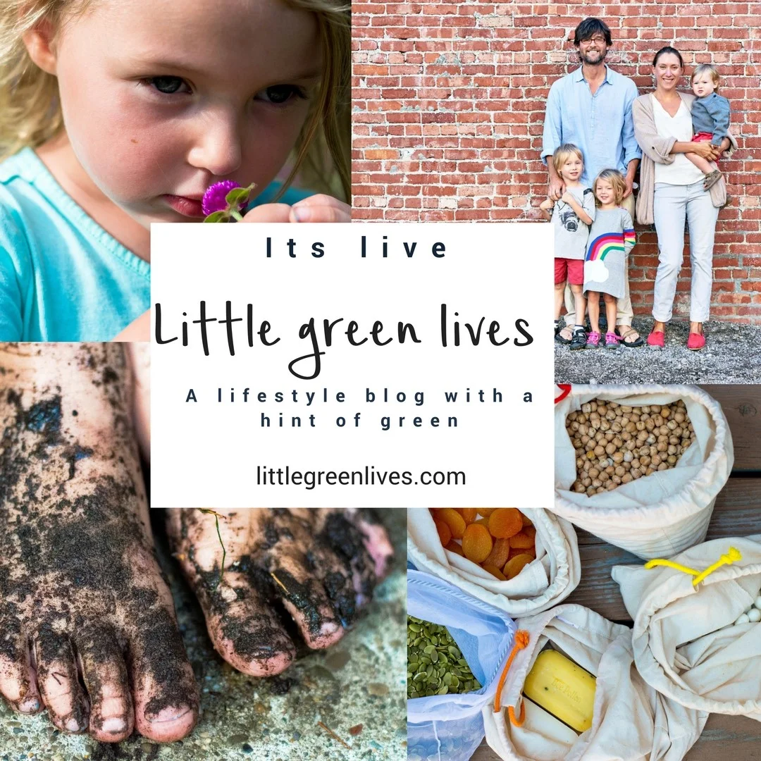 Little Green Lives Self-Doubt