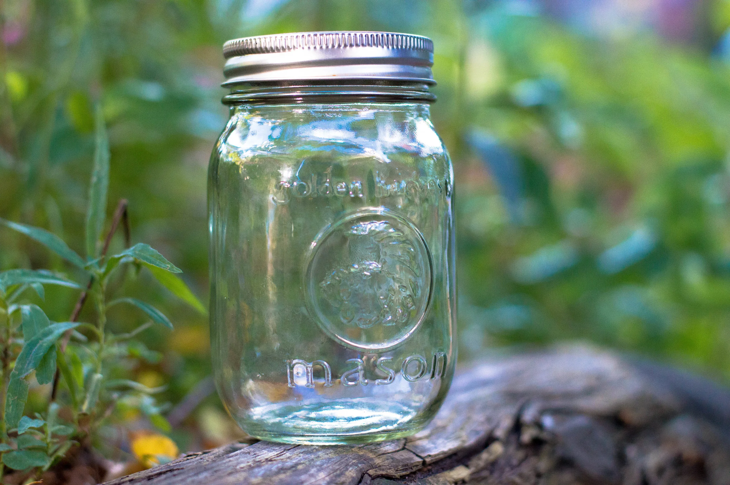 Little Green Lives Mason Jars