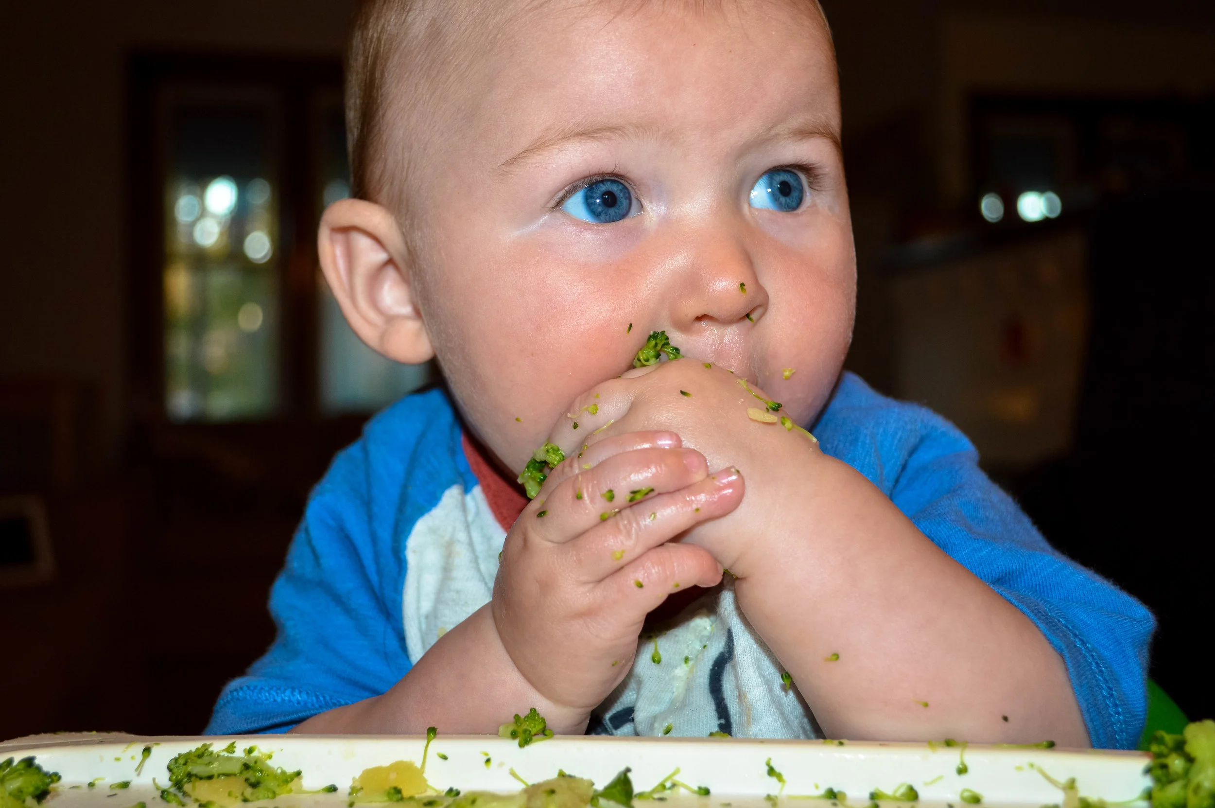 Little Green Lives - Baby-Led weaning