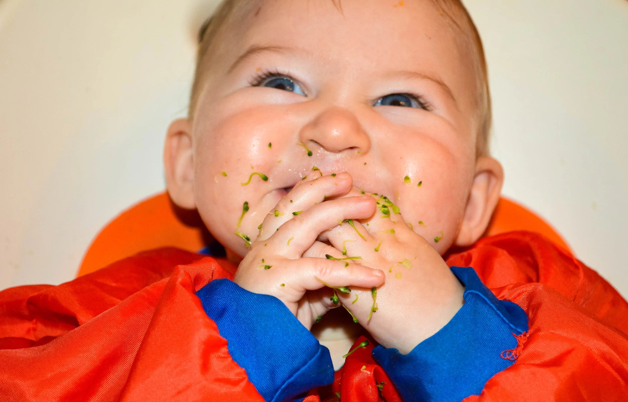 Little Green Lives - Baby-Led weaning