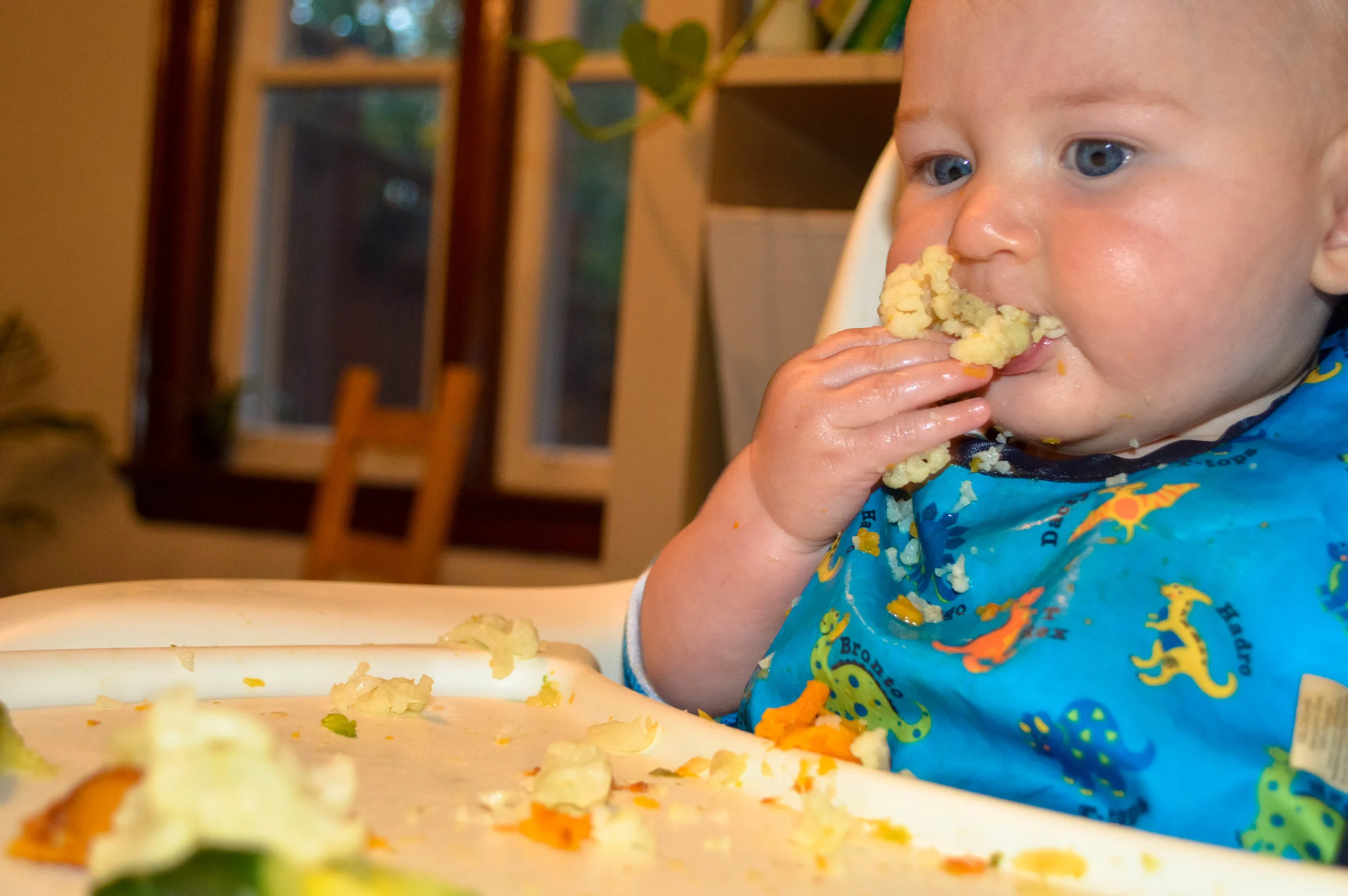 Little Green Lives - Baby-Led weaning