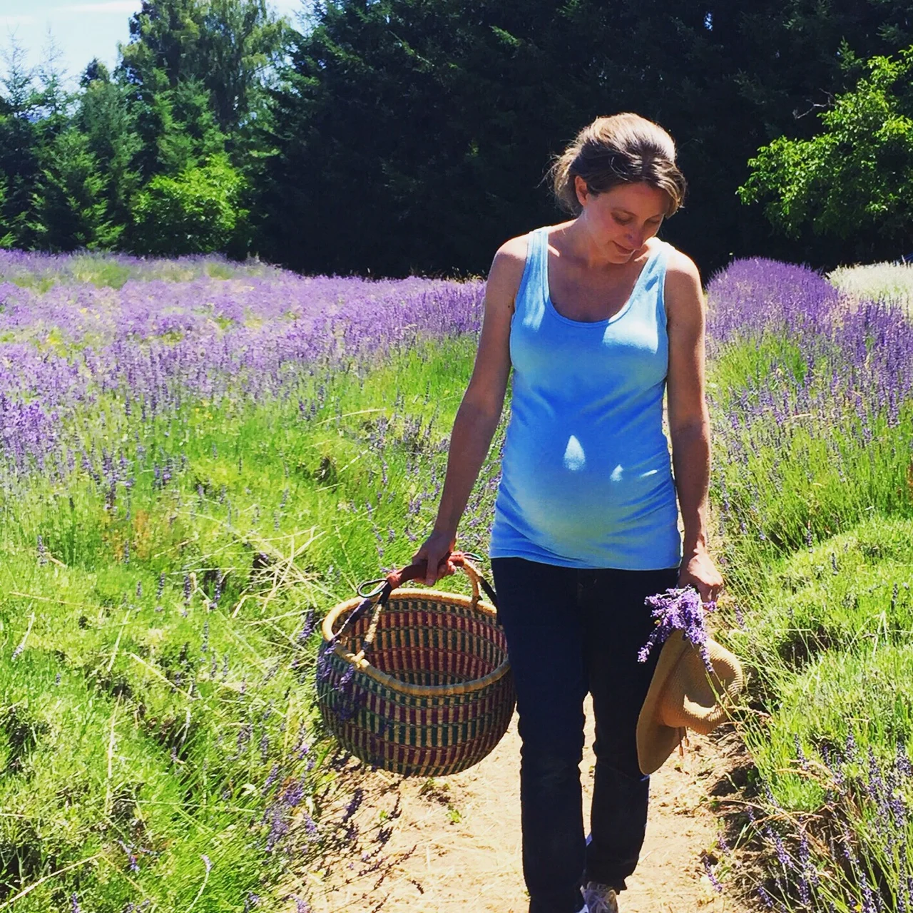 Little Green lives- The calm before the storm - A Little Sunday morning lavender picking.