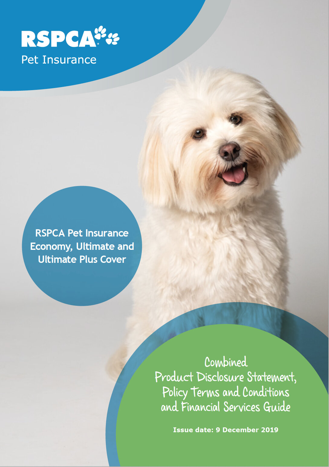  Insurance Photography For Dogs