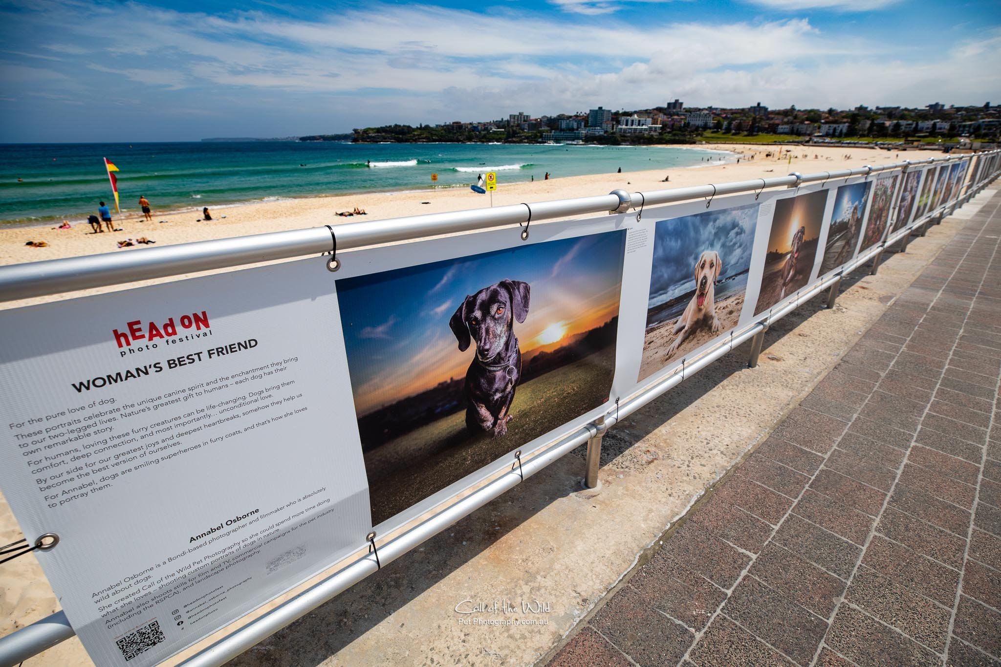 Woman's Best Friend exhibition Bondi Beach, Head On Photo Festival 2021