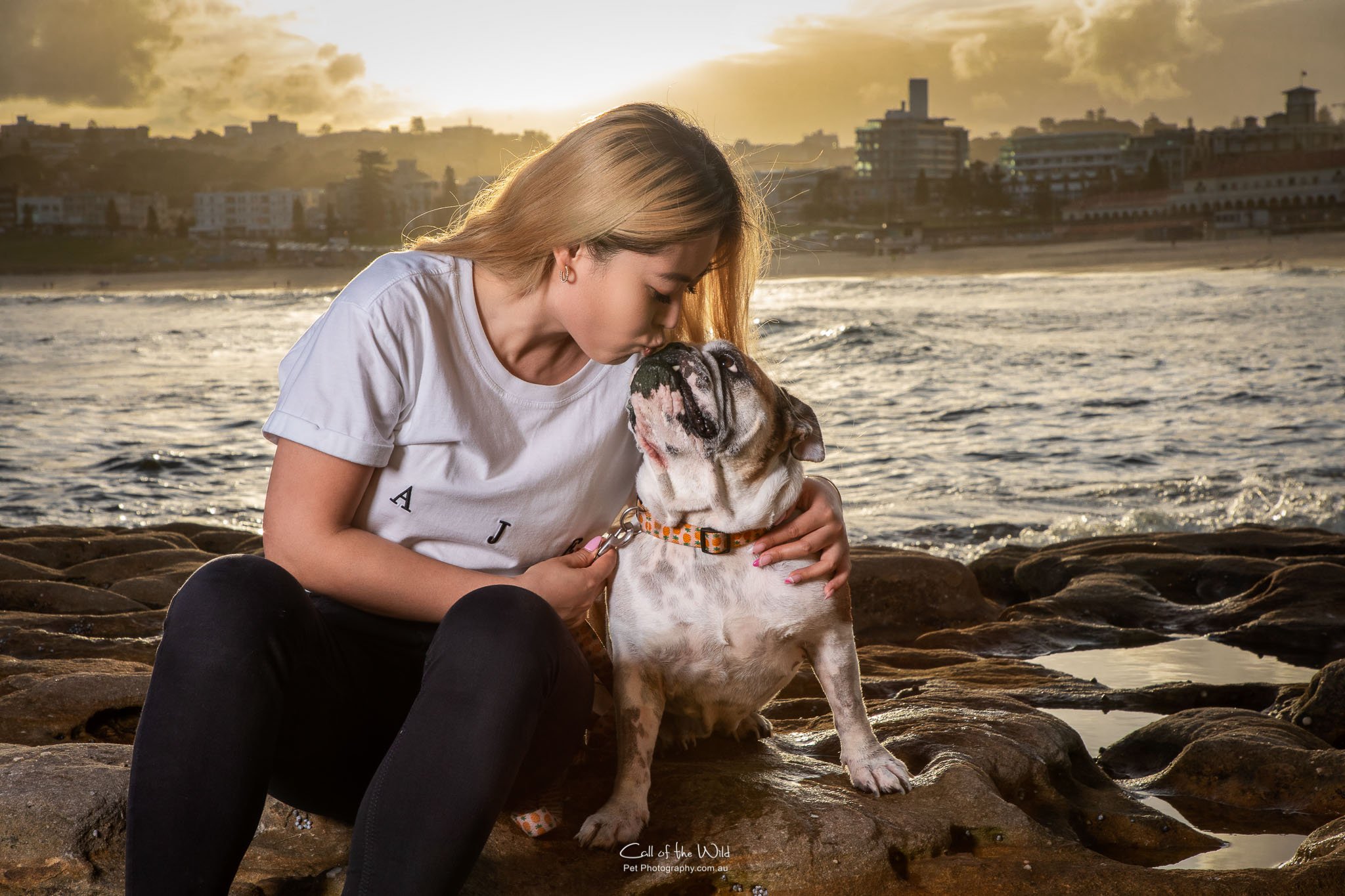 Dog Photography Sydney, pet photography Sydney, Call of the Wild Pet Photogrpahy