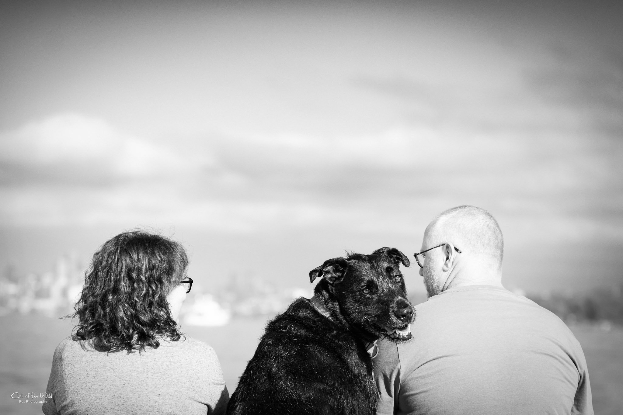 Roma and family - Small Black and White to share - Call of the Wild Pet Photography - 2023-2346.jpg